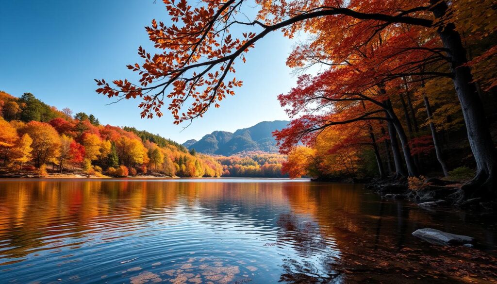 A serene autumn landscape, a pristine mountain lake nestled amidst the vibrant foliage of the Georgia Appalachians. In the foreground, crystal-clear waters reflect the bold hues of the changing leaves - crimson, gold, and amber. Towering deciduous trees line the shore, their branches outstretched as if to embrace the tranquil scene. Soft, diffused natural light filters through the canopy, casting a warm, golden glow over the entire setting. In the distance, rugged peaks rise majestically, their silhouettes a moody counterpoint to the vibrant colors. The overall atmosphere is one of peaceful solitude, inviting the viewer to immerse themselves in the soothing embrace of this scenic mountain hideaway. A serene autumn landscape, a pristine mountain lake nestled amidst the vibrant foliage of the Georgia Appalachians. In the foreground, crystal-clear waters reflect the bold hues of the changing leaves - crimson, gold, and amber. Towering deciduous trees line the shore, their branches outstretched as if to embrace the tranquil scene. Soft, diffused natural light filters through the canopy, casting a warm, golden glow over the entire setting. In the distance, rugged peaks rise majestically, their silhouettes a moody counterpoint to the vibrant colors. The overall atmosphere is one of peaceful solitude, inviting the viewer to immerse themselves in the soothing embrace of this scenic mountain hideaway.