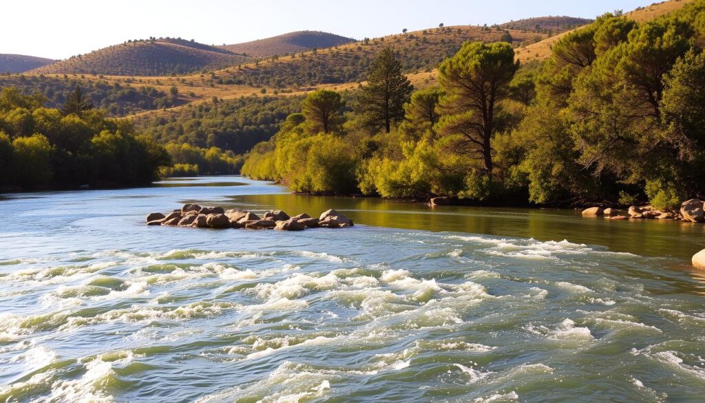 A picturesque scene of the serene Frio River winding through the lush, rolling hills of the Texas Hill Country. In the foreground, the crystal-clear waters of the river sparkle in the warm, golden sunlight, with the gentle current flowing over smooth, weathered rocks. The middle ground features a densely forested bank, with towering cypress trees and lush, verdant foliage casting soft, dappled shadows across the river. In the background, the undulating hills rise up, cloaked in a patchwork of evergreen oaks, junipers, and native wildflowers, creating a tranquil, natural backdrop. The overall scene conveys a sense of peaceful solitude and rustic beauty, perfectly capturing the essence of the Texas Hill Country.